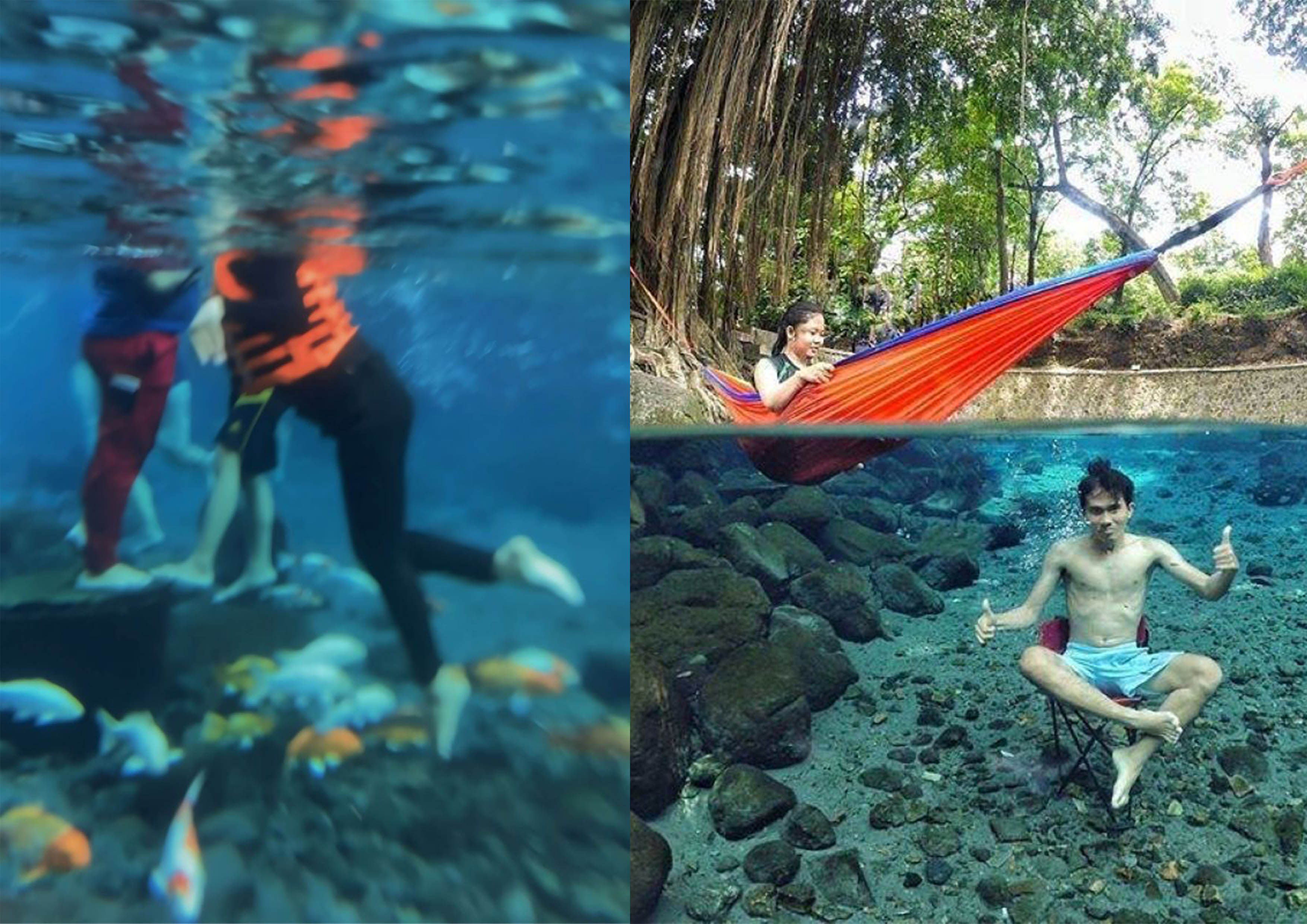 Menikmati kesegaran mata air Sigedang Klaten, bisa berenang bareng ikan.