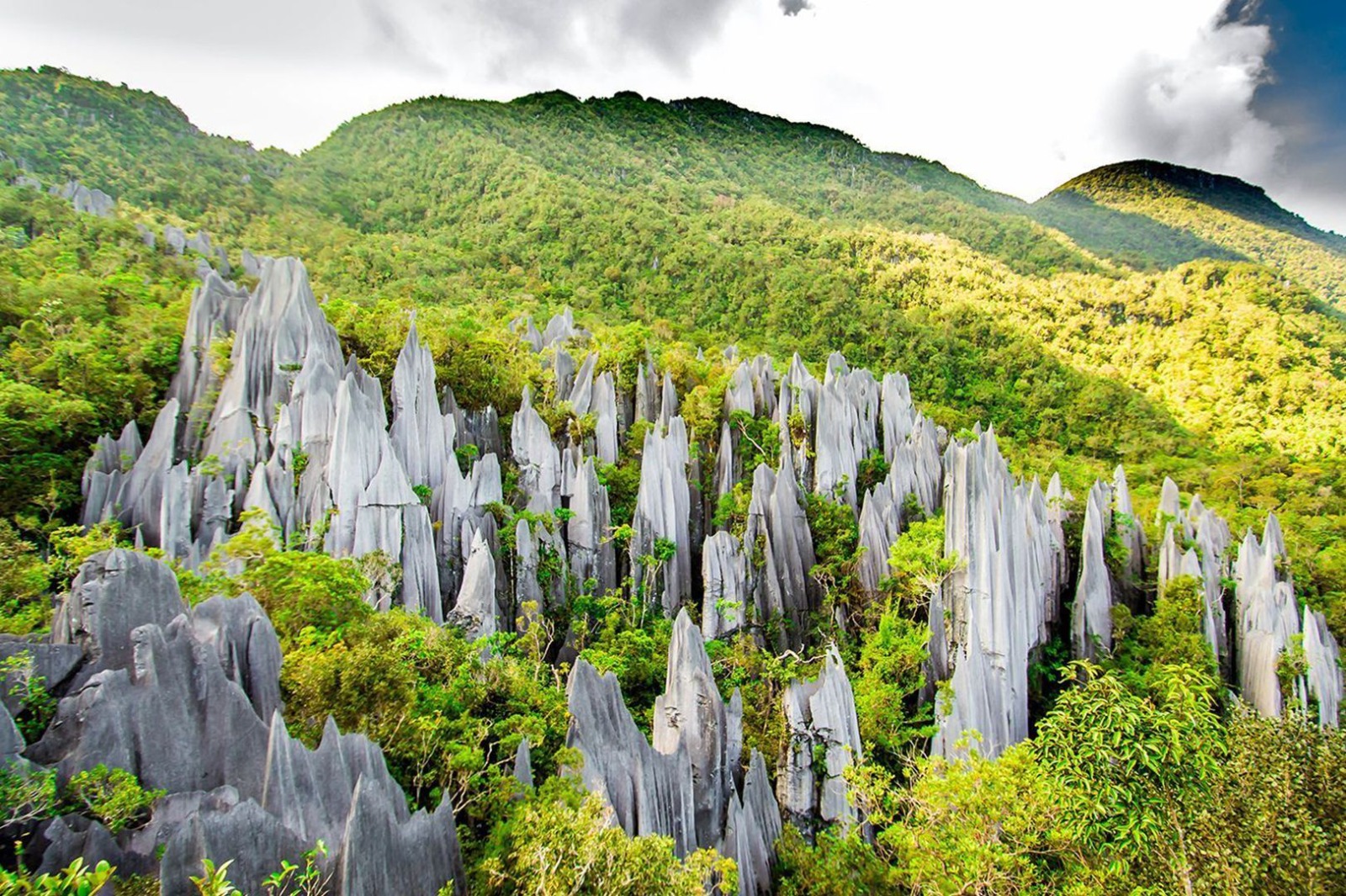 Gambaran Batu Kapur yang berdiri kokoh di kawasan Taman Nasional Gunung Mulu.   (https://www.bikeandtours.com/en/malaysia/sarawak/miri/gunung-mulu)