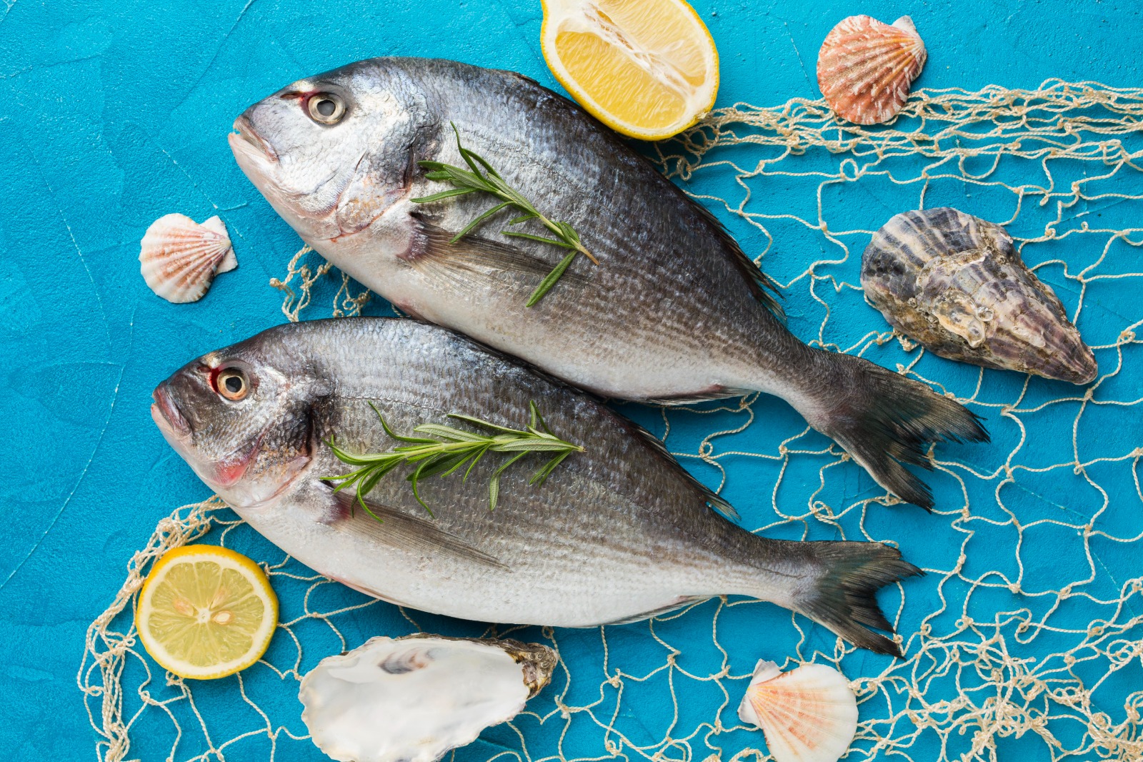 Gambaran ikan segar hasil dari tangkapan nelayan.  (freepik.com)