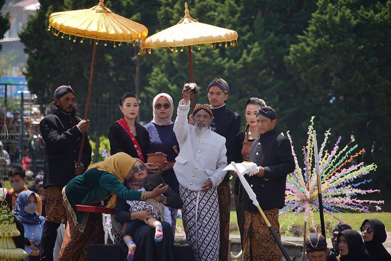Proses Pemotongan Rambut Gimbal