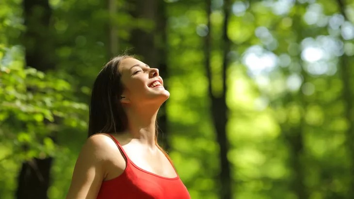 Praktik Forest Bathing (klikdokter.com)