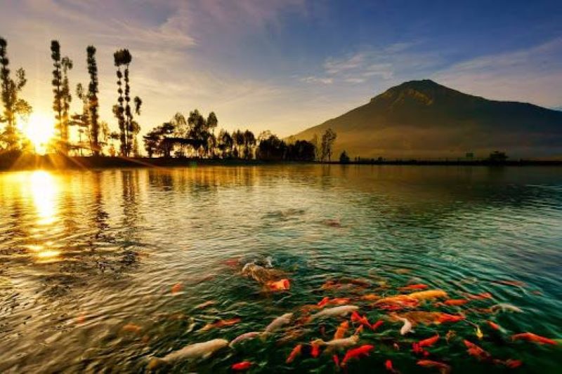 Embung Kledung dengan pemandangan eksotis.