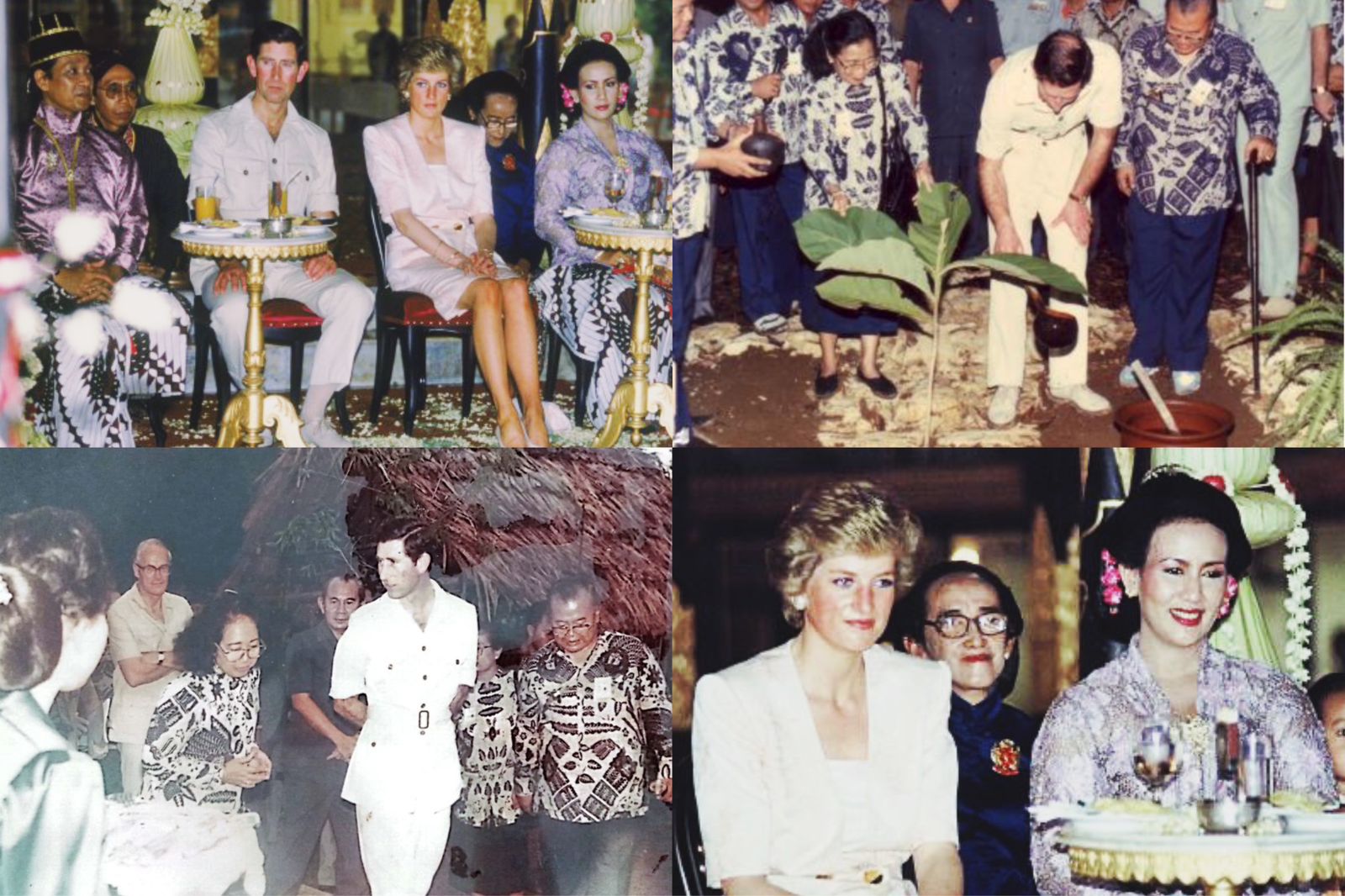 Pangeran Charles dan Putri Diana bersama Sri Sultan Hamengkubuwono X dan permaisuri GKR Hemas di Keraton Yogyakarta, Kunjungan Pangeran Charles ke hutan Wanagama.