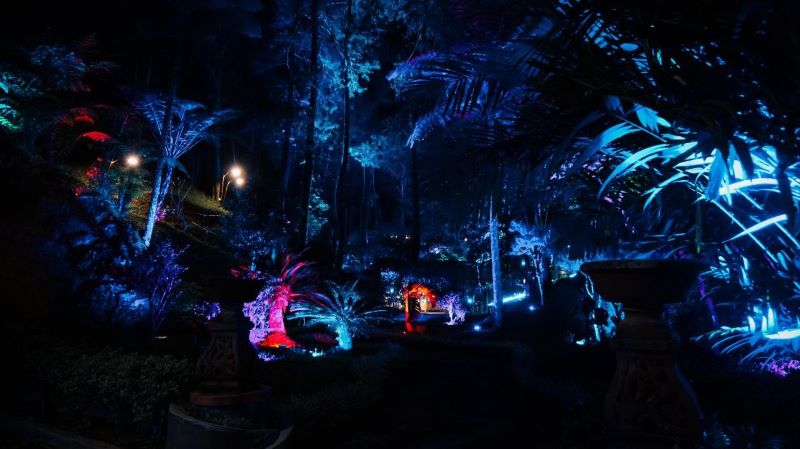 Warna warni lampu di Hutan Mycelia menjadi daya tarik wisatawan