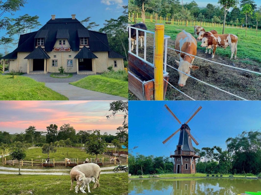 Suasana Wisata di The Lost Word Farm Cangkringan, Kabupaten Sleman, Yogyakarta. (Tiktok/majalahjogja)