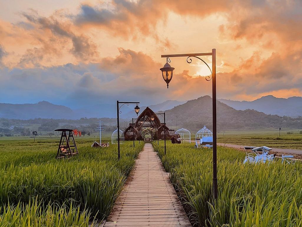 Keindahan Sawah dan Pegunungan Menoreh di Mahaloka Paradise  (Instagram/mahalokaparadise)