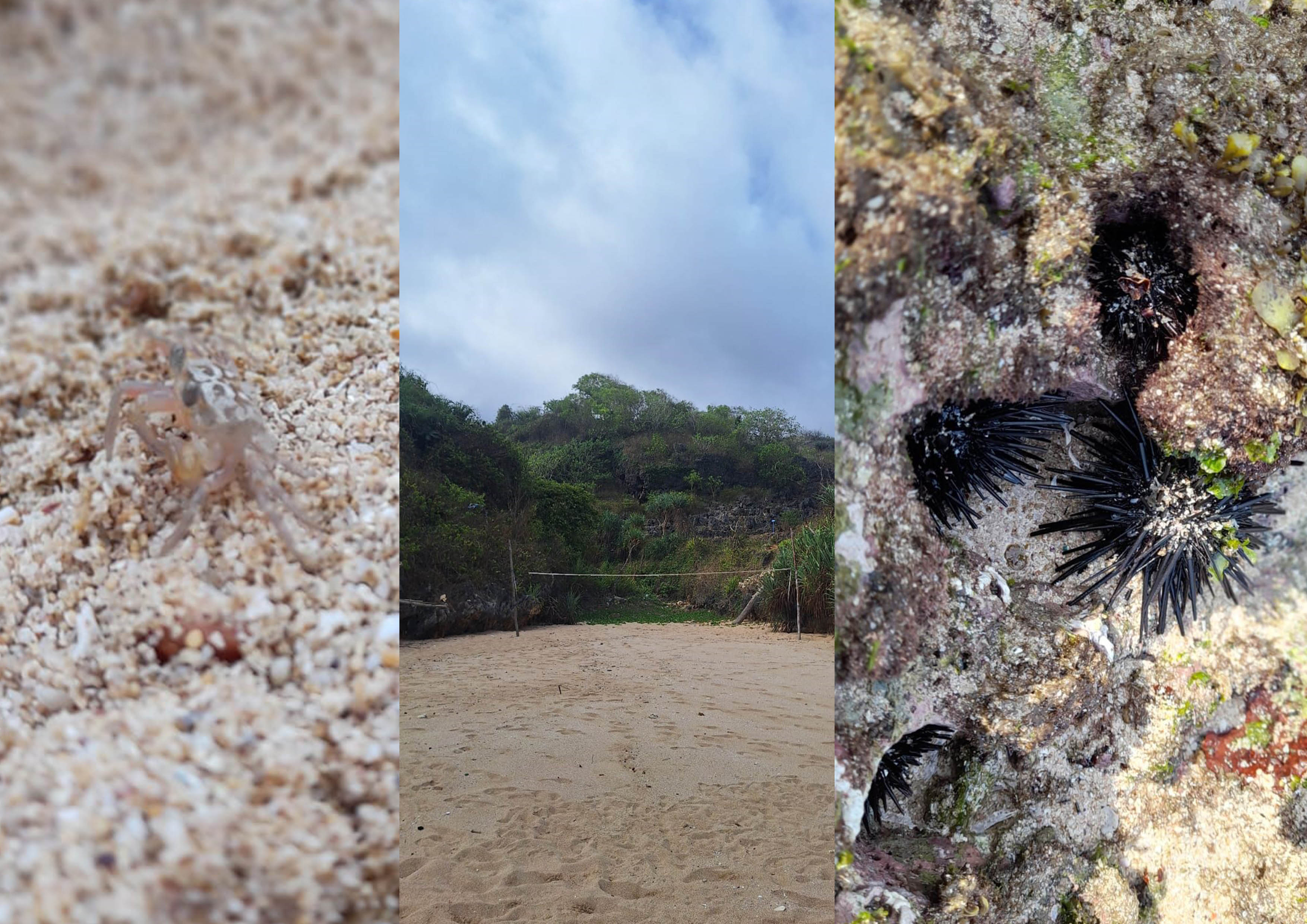 Pesona Pantai Ngraweh Gunungkidul, DIY.