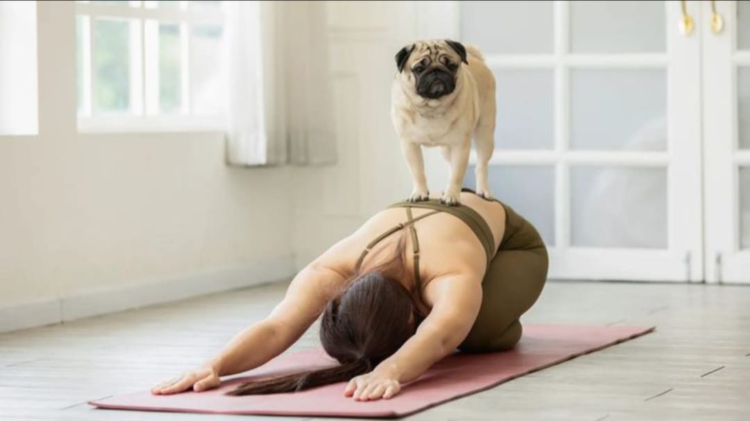 Gambar Doga (Dog-Yoga) (Sumber Gambar: Fitlife)