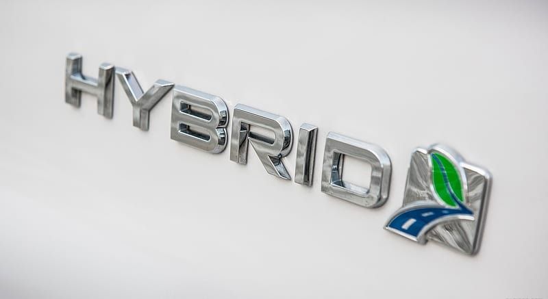Ilustrasi Hybrid.