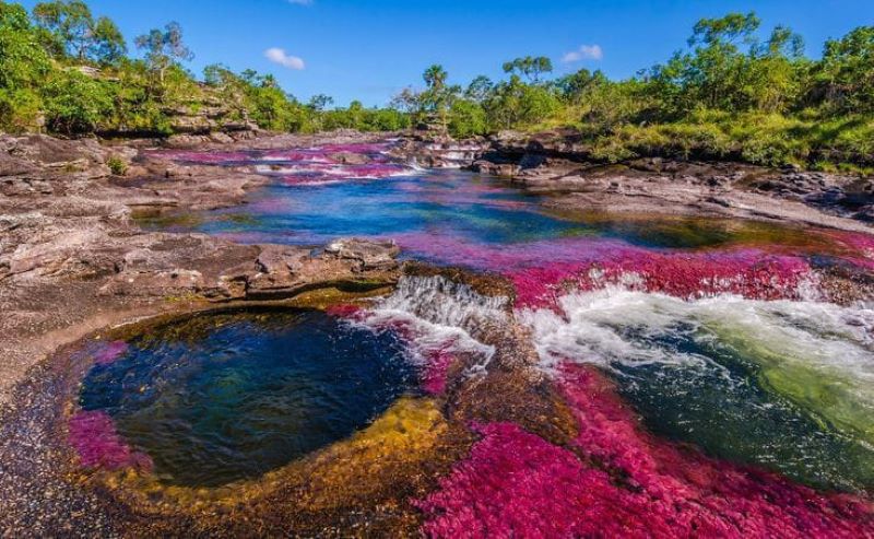 Cano Cristales Kolombia.
