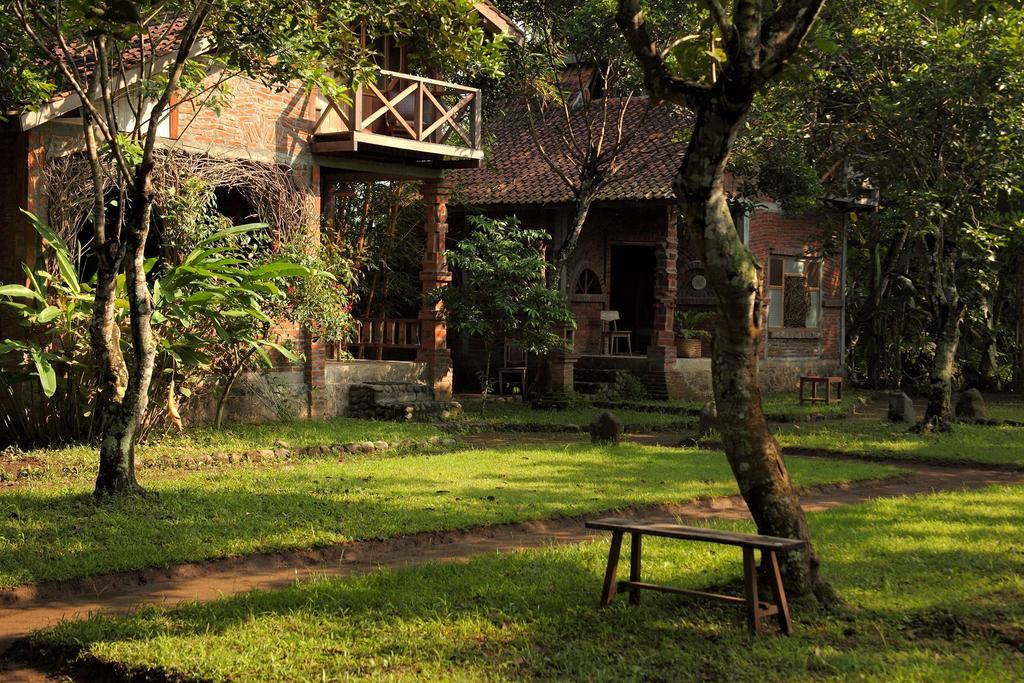 Keindahan dan  Suasana Eloprogo Art House Magelang