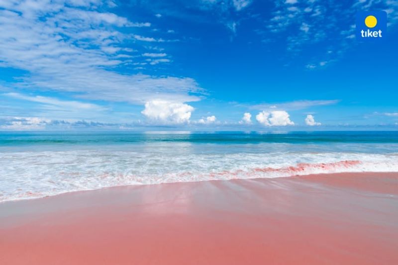 Pantai Pink Lombok di Nusa Tenggara Barat (NTB).