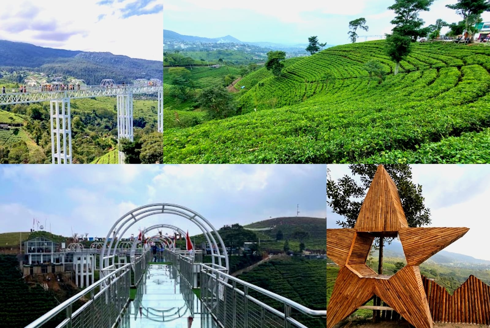 Nikmati keindahan alam dari ketinggian, destinasi dan pengalaman baru bagi wisatawan (Kolase sumber foto Doc. Google Maps)
