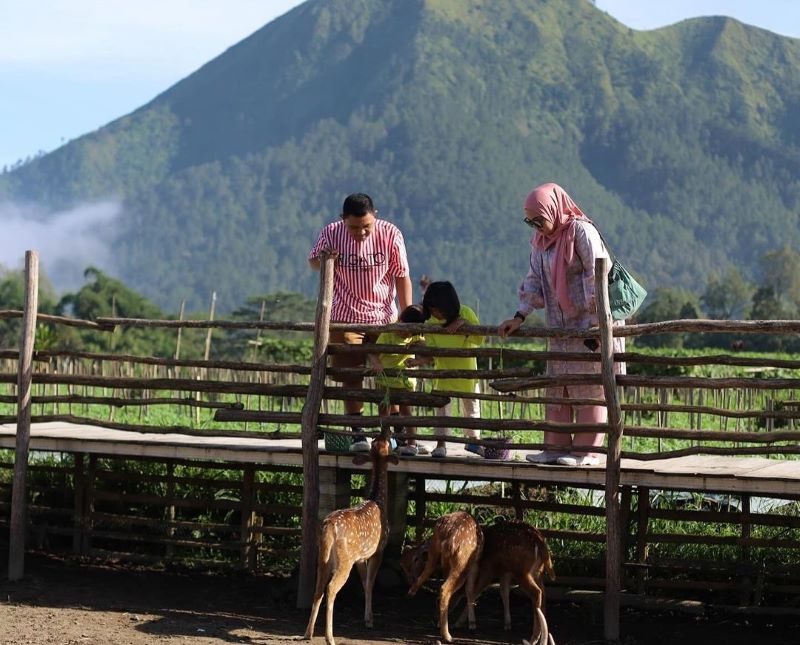 Keseruan Berlibur dengan Keluarga di Wisata Hutan Desa (Sumber: Instagram @hutan_desa)