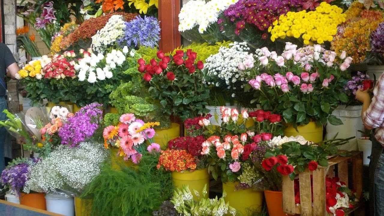 Beragam jenis bunga (pinterest)