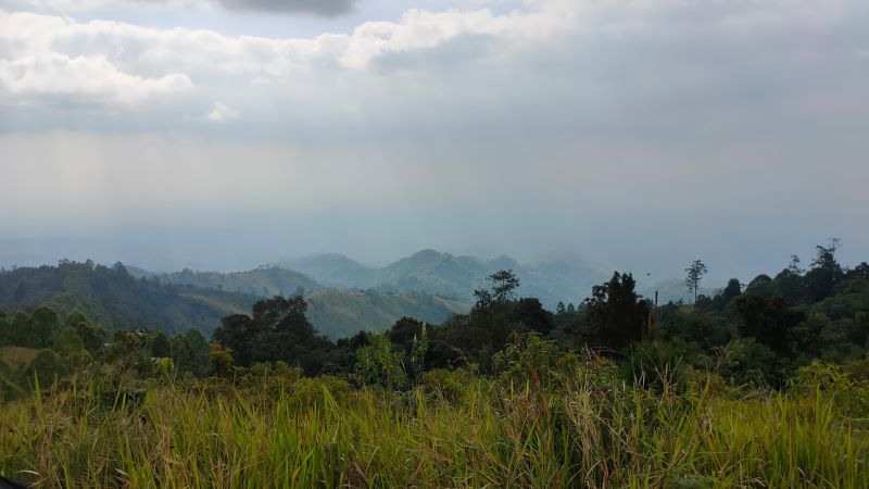 Gunung WIlis