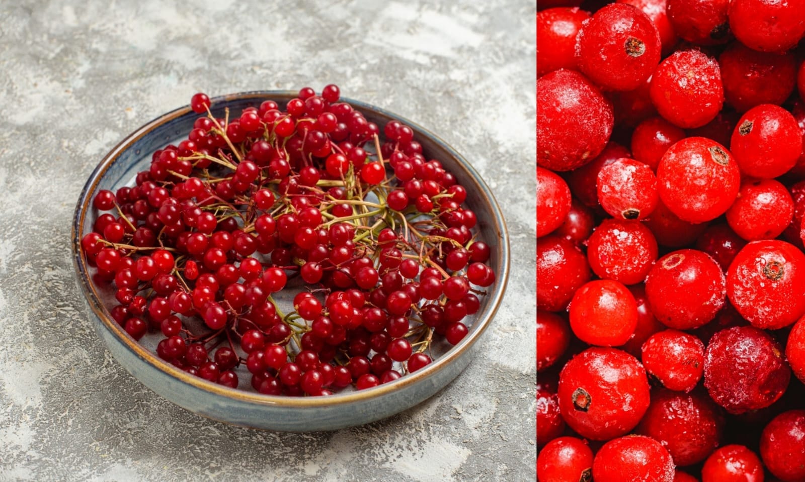 Kecil, segar, dan super sehat! Cranberry bantu jaga kesehatan setiap hari (freepik.com)