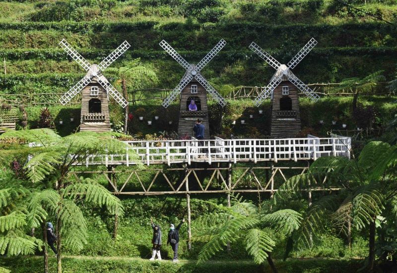 Keindahan Kebun Teh Pagilaran.