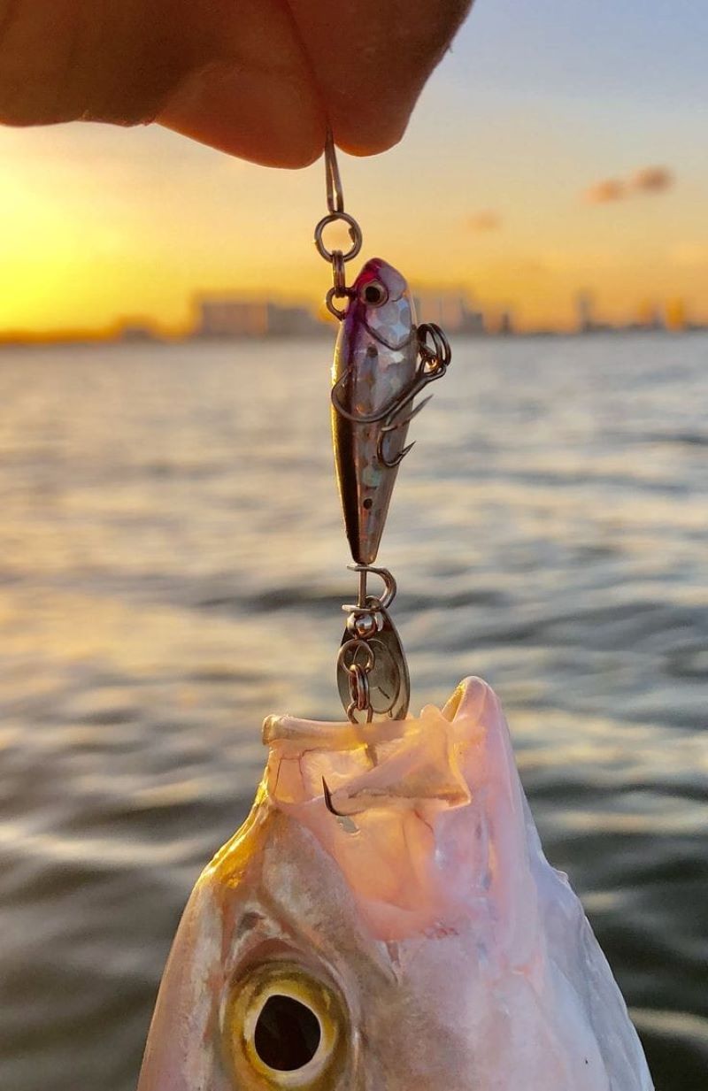 Memancing adalah kegiatan menangkap ikan di perairan dengan menggunakan alat pancing.  Ini merupakan aktivitas yang sudah dilakukan manusia sejak zaman dahulu, baik sebagai sumber makanan, hobi, maupu