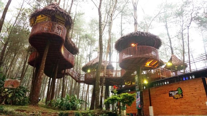 Menikmati glamping seru ditengah alam Semarang.