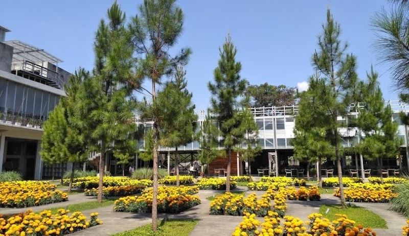 Taman Atsiri di Rumah Atsiri Indonesia di Tawangmangu.