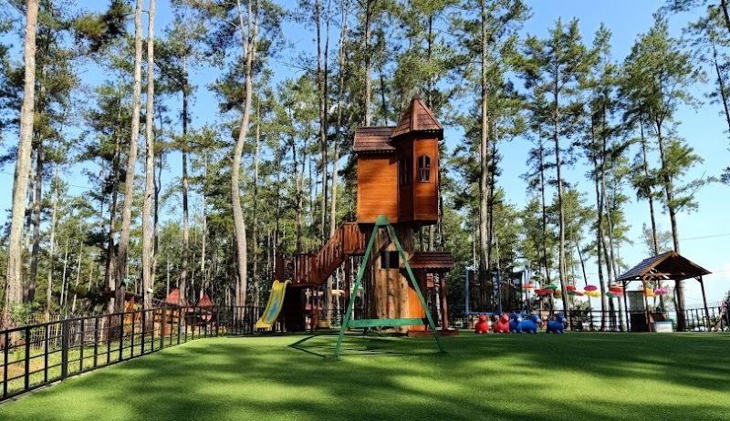 Keindahan Kemit Forest Cilacap dengan suasana sejuk dari hutan pinus.
