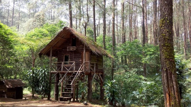 Petualangan alam tak terlupakan di Taman Buru Gunung Masigit Kareumbi.