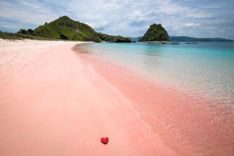Pink Beach dengan keunikan pasirnya yang berwarna merah muda.
