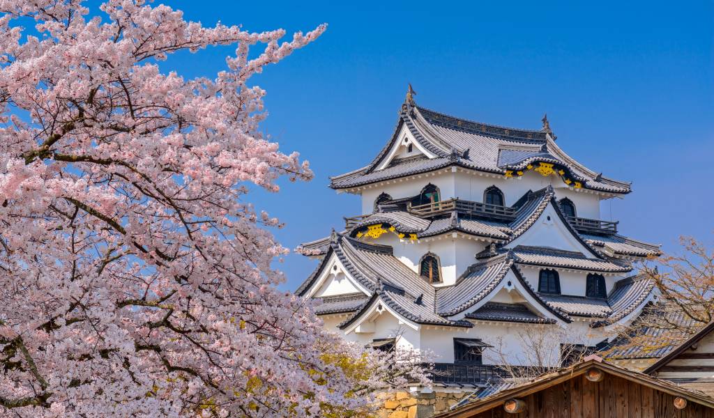 Ingin Liburan Jepang? Ini Dia 10 Rekomendasi Wisata di Jepang