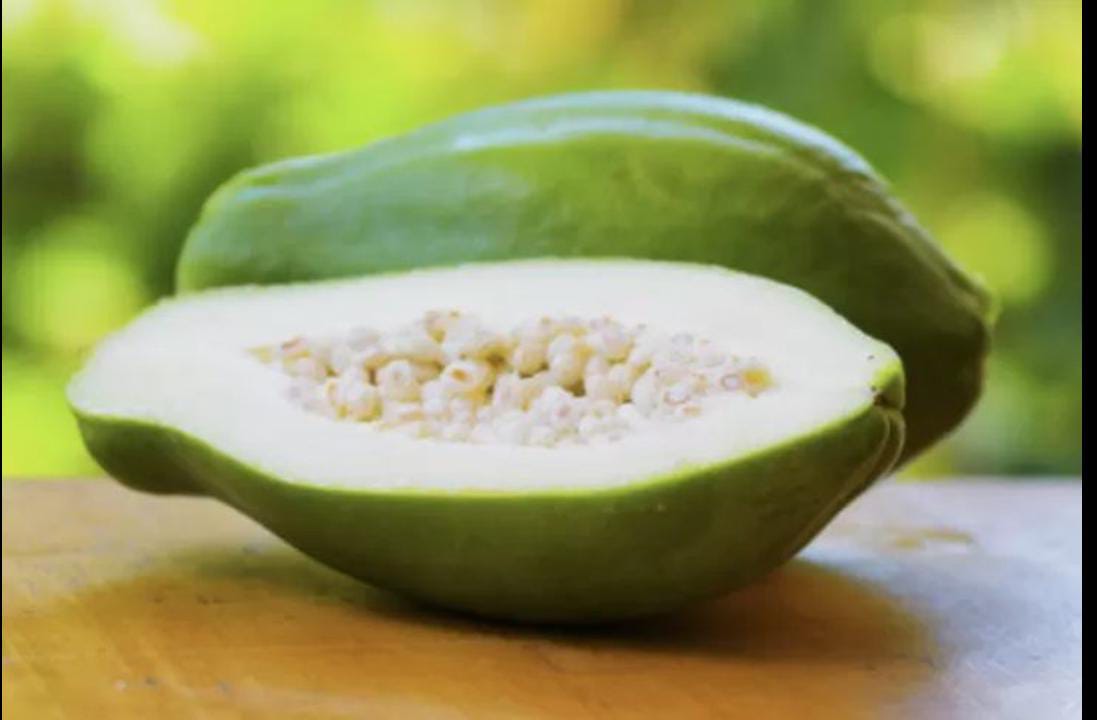 buah pepaya muda (pinterest)