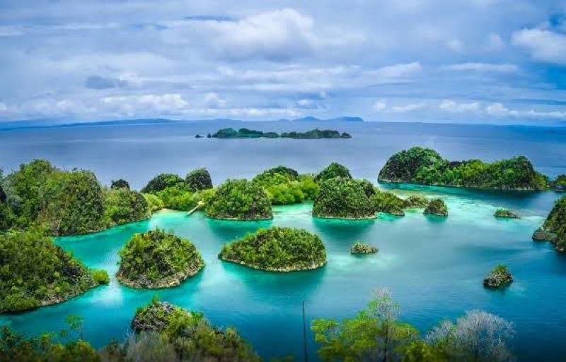 ilustrasi Raja Ampat Papua Barat