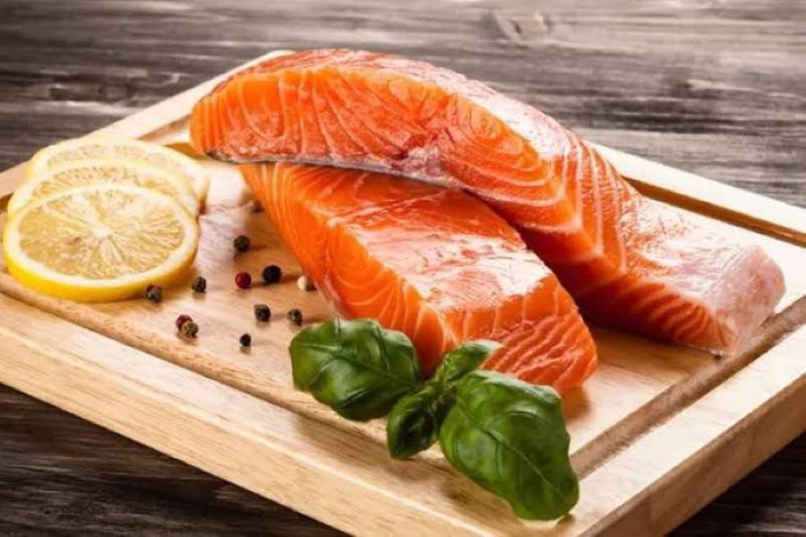 ilustrasi ikan salmon.