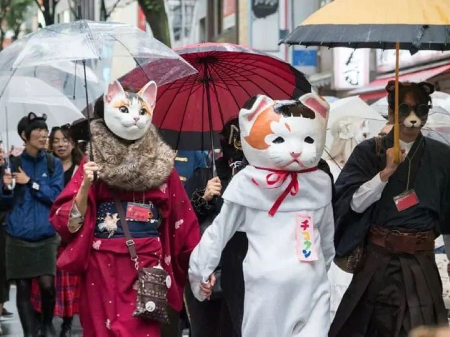 Festival Bakeneko di Kagurazaka.