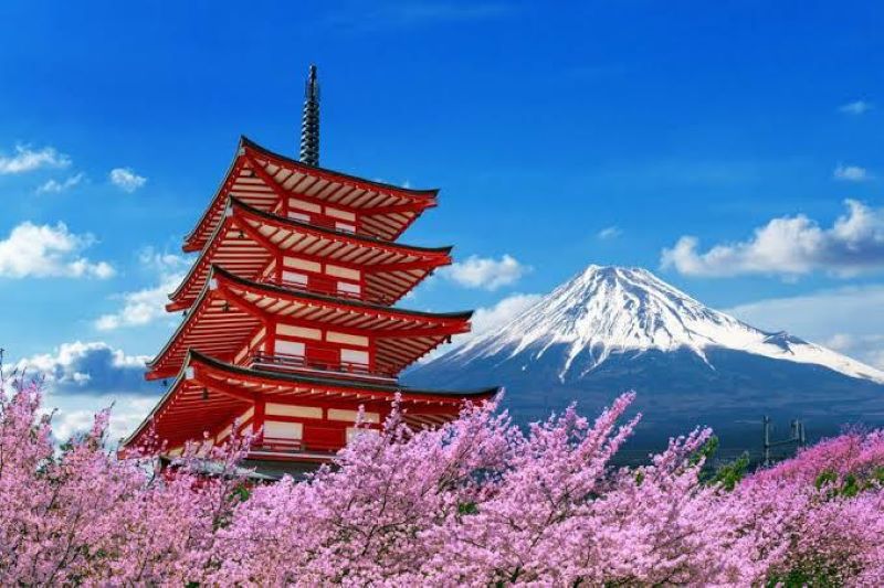 Ilustrasi Gunung Fuji dan Bunga Sakura, Ikon Negara Jepang (ITO EN)