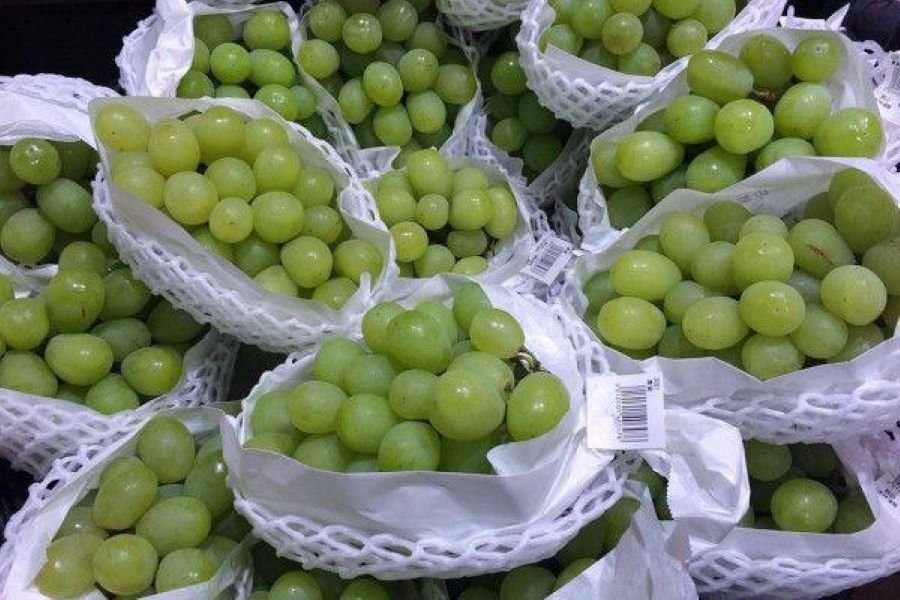 Ilustrasi buah anggur muscat di supermarket.