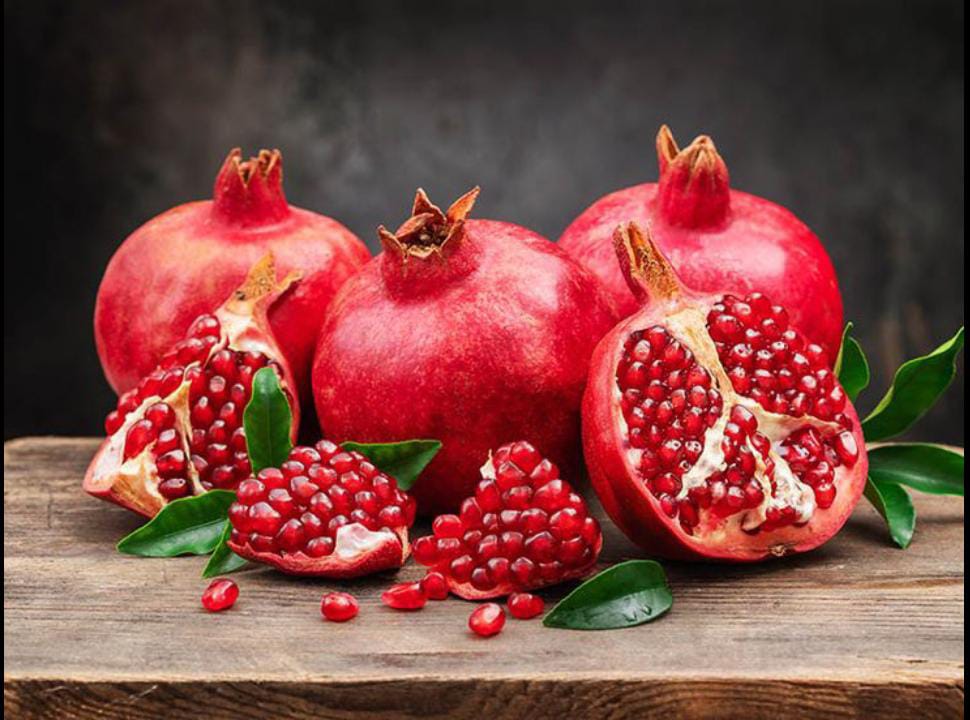 ilustrasi buah pomegranat/delima (pinterest)