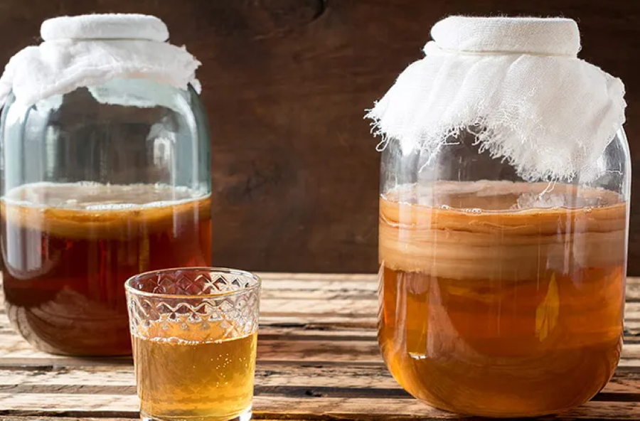 Teh kombucha.