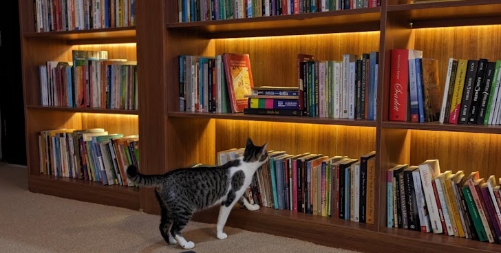 Salah Satu Sudut di Ruang Literasi Kaliurang.  (sumber: Google photo by Citra Nareswari)
