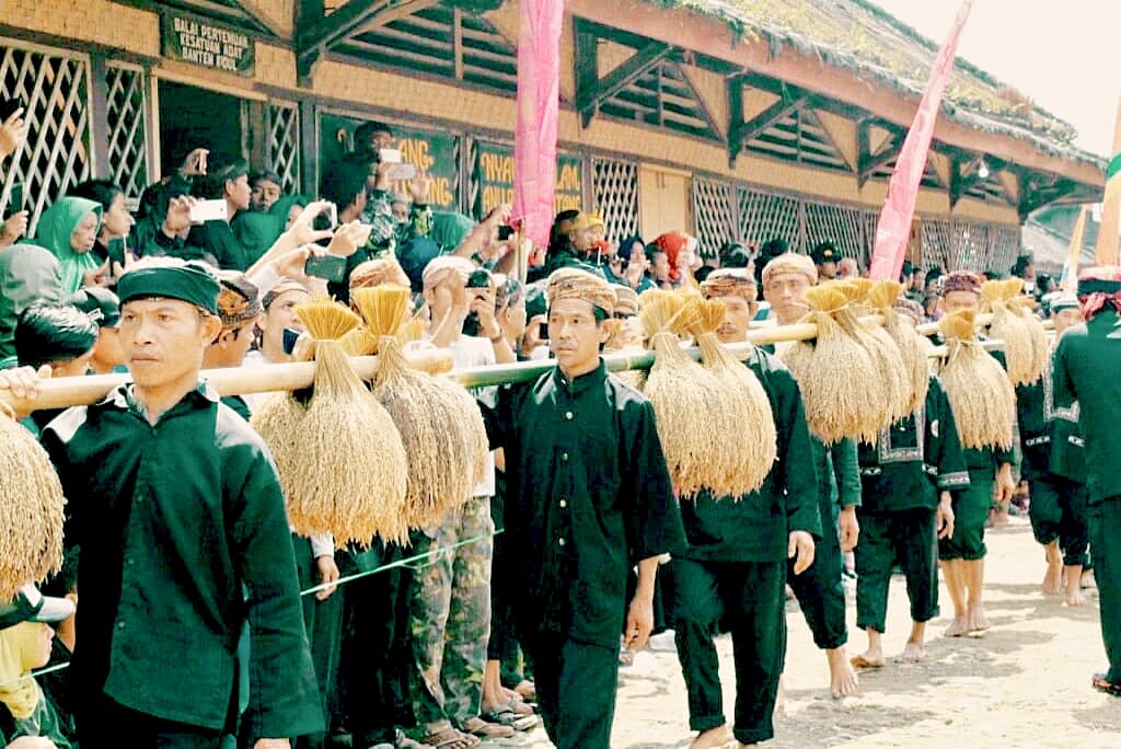 Upacara ngadiukeun penduduk Desa Adat Kasepuhan Ciptagelar dengan memasukkan ikatan padi secara simbolis ke lumbung keramat atau yang disebut leuit si jimat (Foto: Instagram @tourvill_ciptagelar)