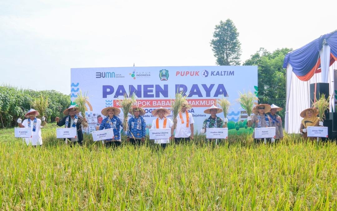 Panen raya digelar di Dusun Babadan, Desa Kepuhrejo, Kecamatan Takeran, Kabupaten Magetan, Jawa Timur, Selasa (20/5/2025).