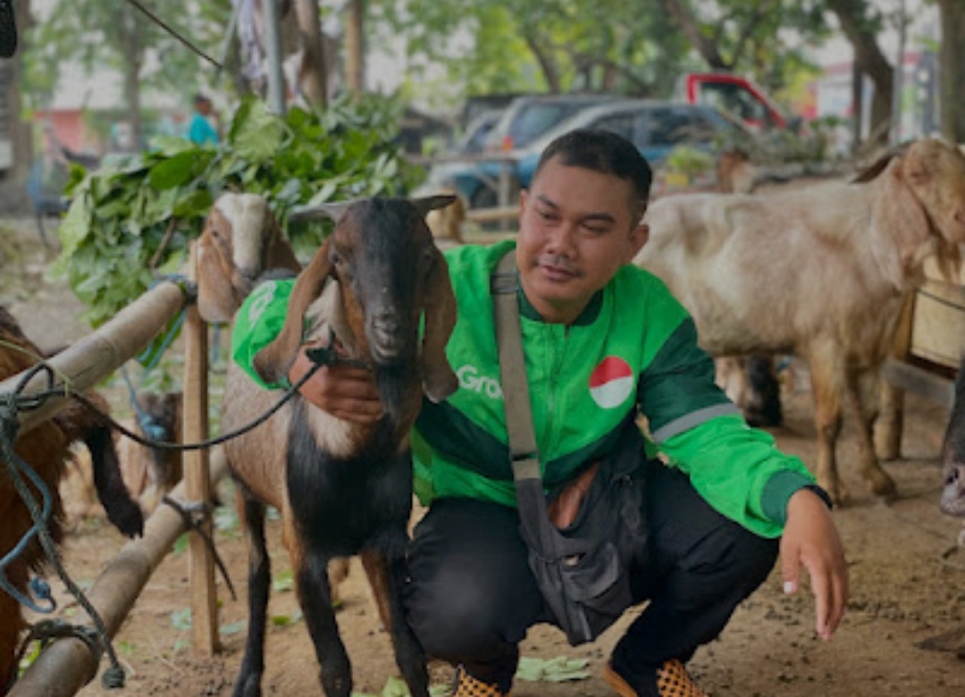 : Salah seorang Mitra Pengemudi Grab aktif di Surabaya mendapat apresiasi berupa hewan kurban kambing dalam semarak Iduladha 1446 H.