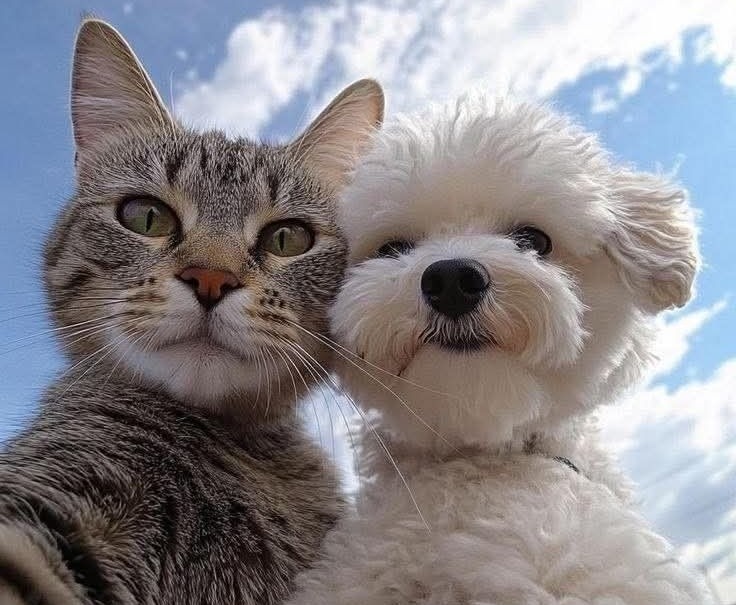 Ilustrasi hewan anjing dan kucing.