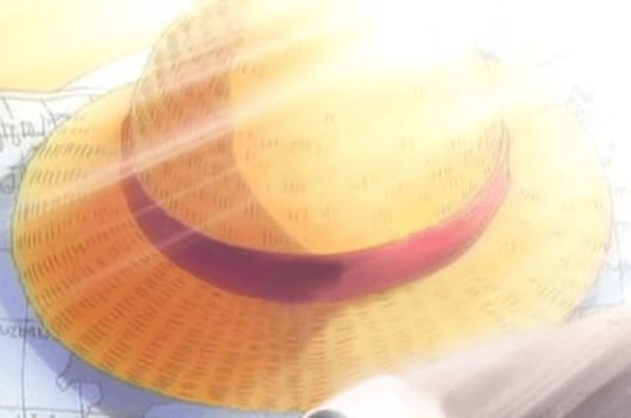 Topi Jerami Luffy d