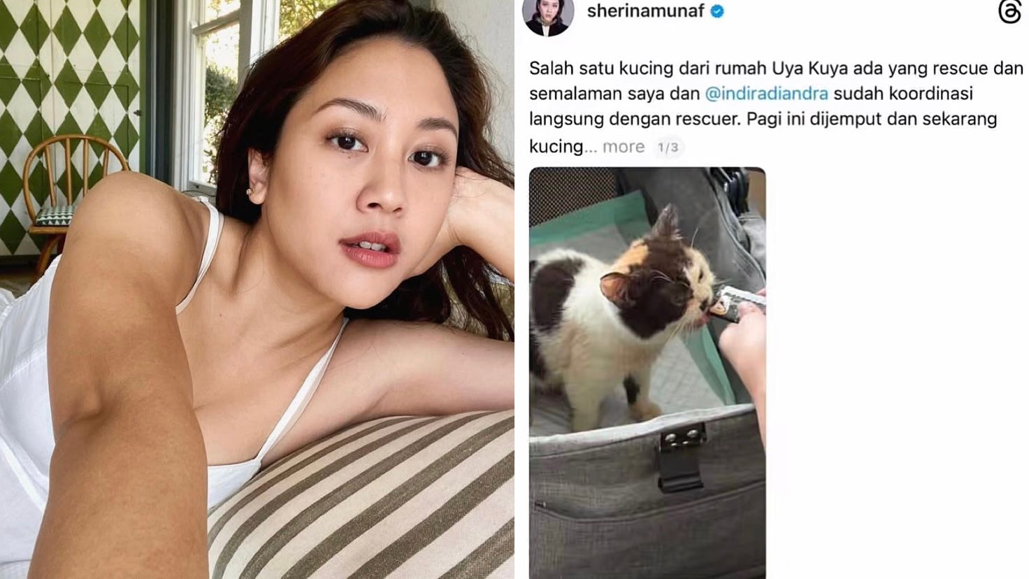 Ilustrasi Sherina Munaf Dipanggil Polisi untuk Klarifikasi Soal Kucing Uya Kuya.