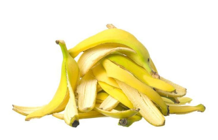 Kulit pisang memiliki segudang manfaat bagi kesehatan kulit wajah.