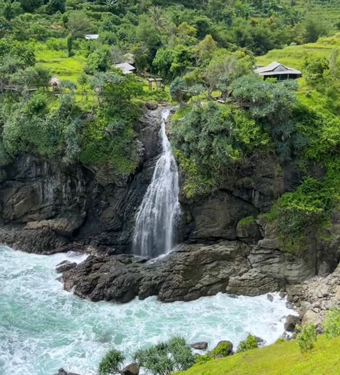Ilustrasi pemandangan alam yang ada di Bukit Pengilon.