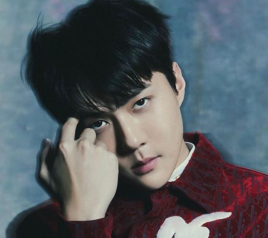 Sumber dari akun resmi Instagram Sehun EXO