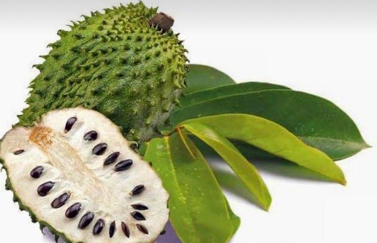 Sirsak, buah yang memiliki banyak manfaat.