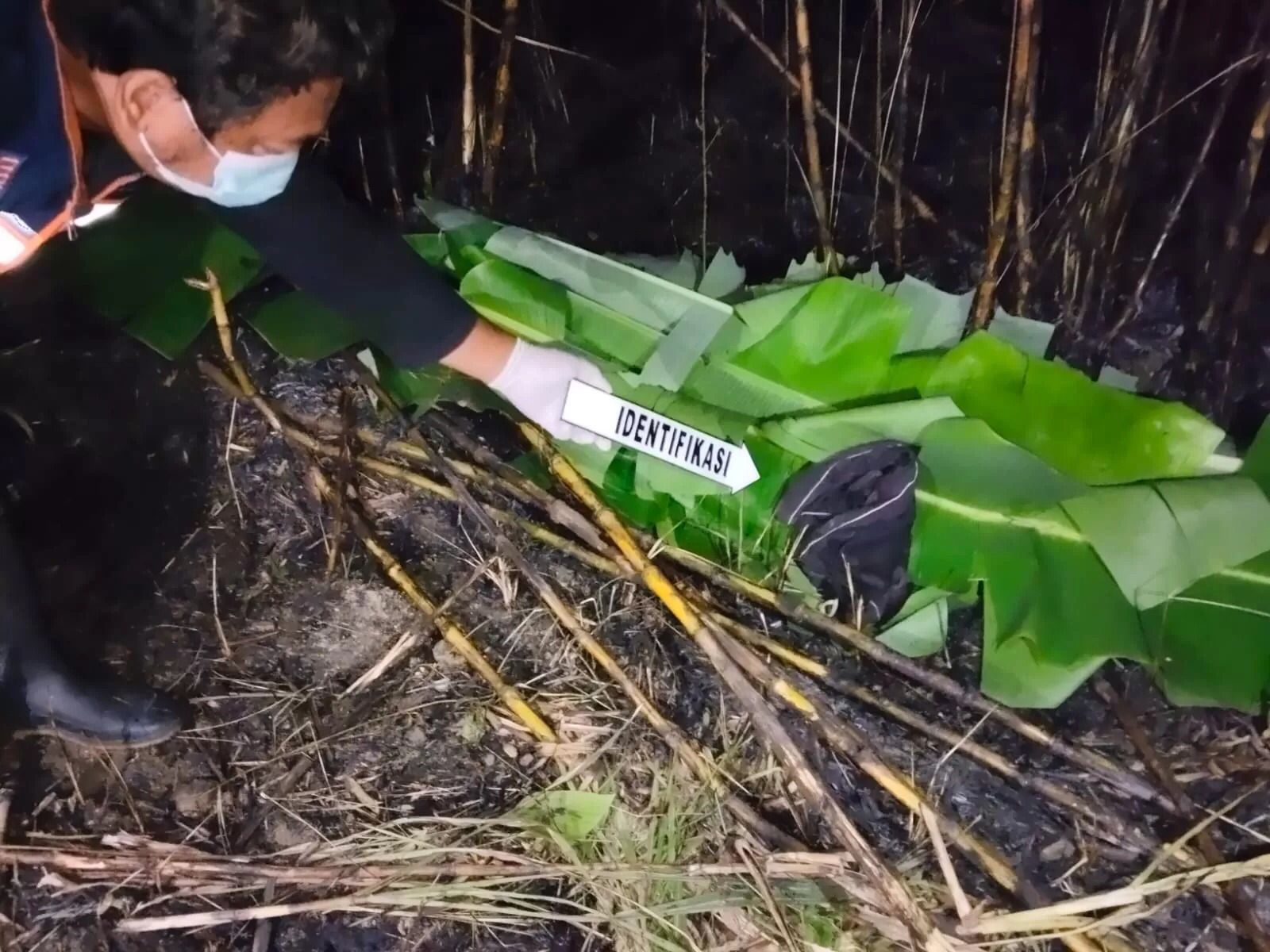 Petani tebu di Sragen tewas terbakar saat berusaha memadamkan api di ladang.