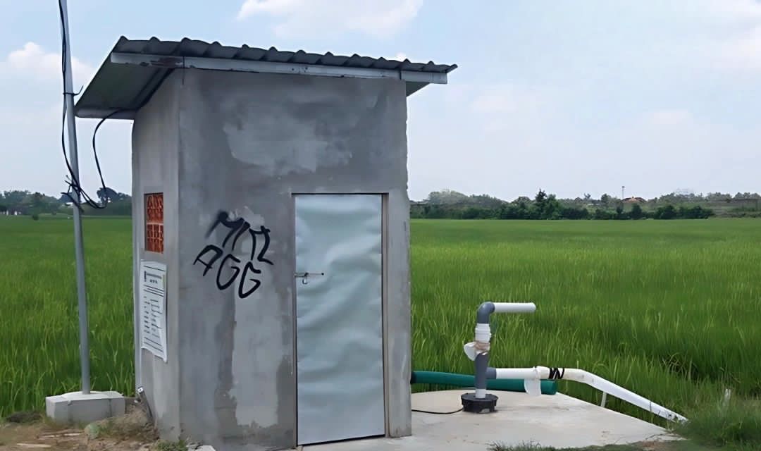 Ilustrasi bangunan kecil di tengah sawah Boyolali.